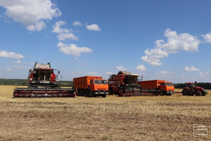 Евгений Федотов Питрәч районында атнаның иң яхшы комбайнчысы булды