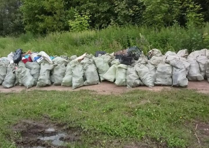 В Пестречинском районе ликвидировали крупную несанкционированную свалку