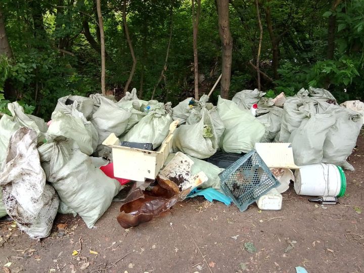 В Пестречинском районе ликвидировали крупную несанкционированную свалку