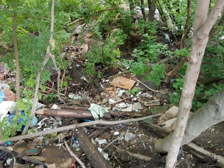 В Пестречинском районе ликвидировали крупную несанкционированную свалку