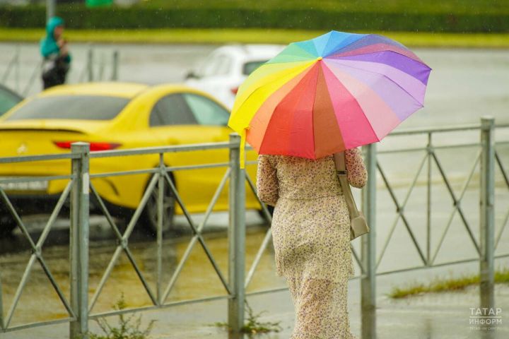 В Пестречинском районе местами ожидается дождь и сильный ветер