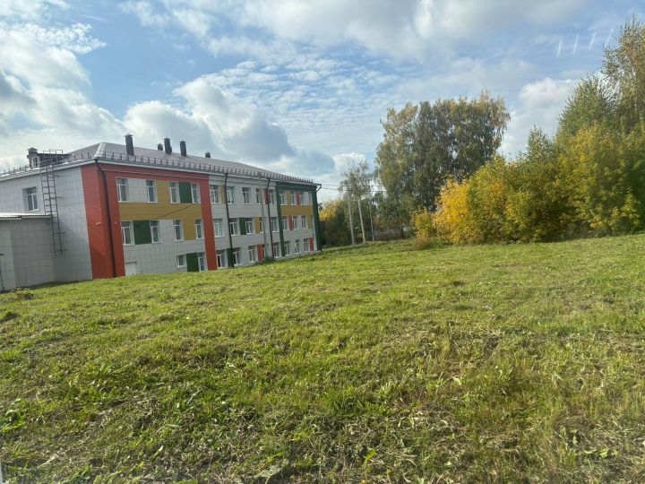 Выпускников и учеников Пестречинской школы приглашают на посадку деревьев