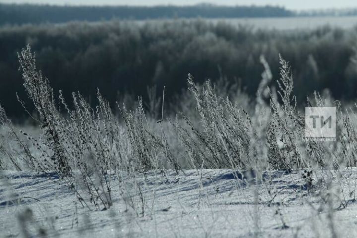В Пестречинском районе сохранится умеренно морозная погода