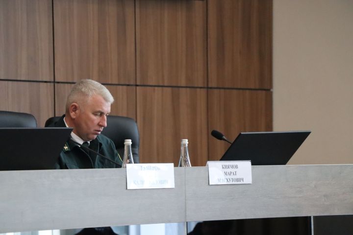 Лесных пожаров за 2025 год в Пестречинском районе не допущено