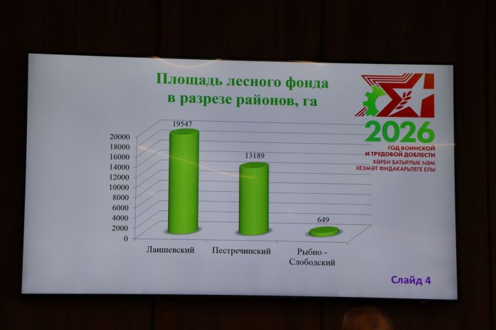 Лесных пожаров за 2025 год в Пестречинском районе не допущено