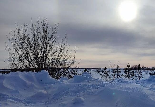 В Пестречинском районе ожидаются туман, гололедица и до +8 градусов