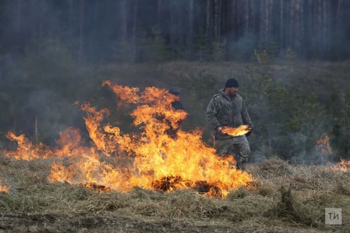 Питрәч районы территориясендә янгынга каршы махсус режим кертелде