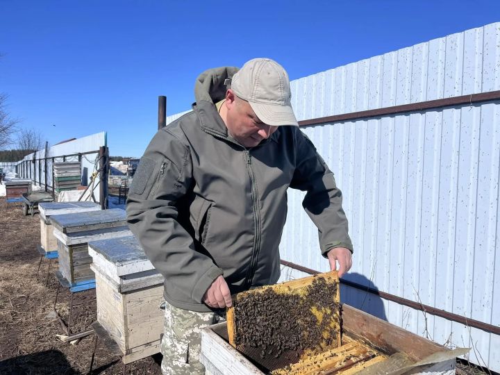 Мансур Файзуллин из деревни Пимери – о деле жизни и любимых насекомых