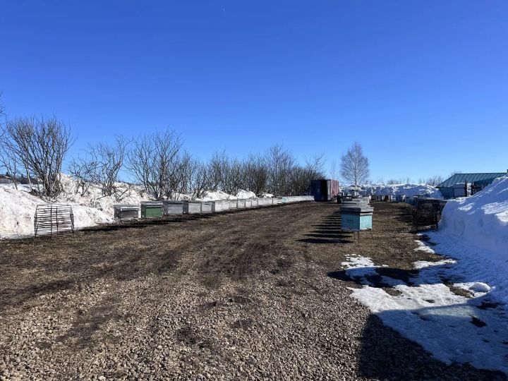 Мансур Файзуллин из деревни Пимери – о деле жизни и любимых насекомых