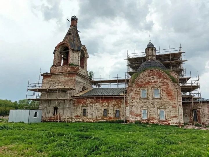 Волонтёров приглашают на строительство лесов в Елагино 17 мая