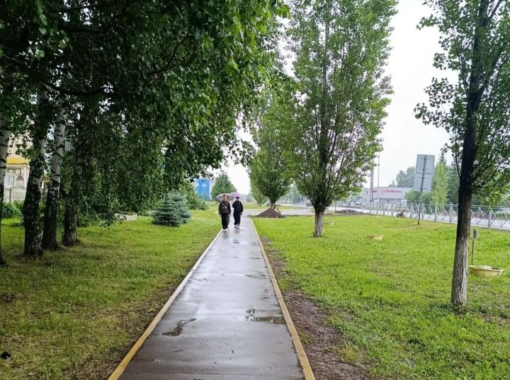 В Пестречинском районе 27 июня ожидается до +19 градусов