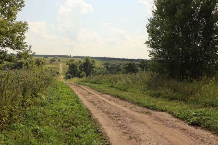 Как живёт и развивается Пановское сельское поселение