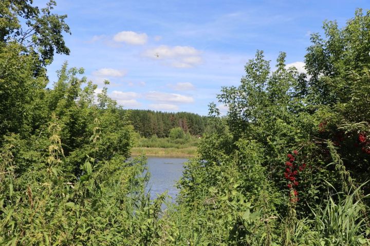 Ленино-Кокушкино становится центром туристического маршрута
