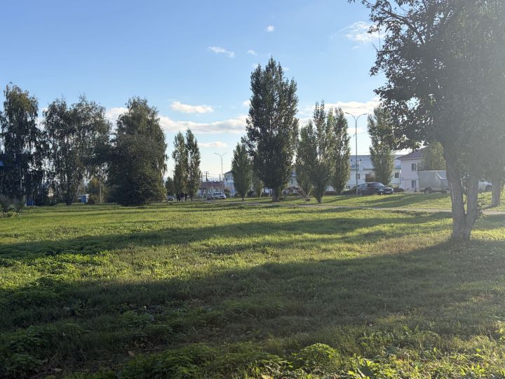 В Пестречинском районе сохранится тёплая погода